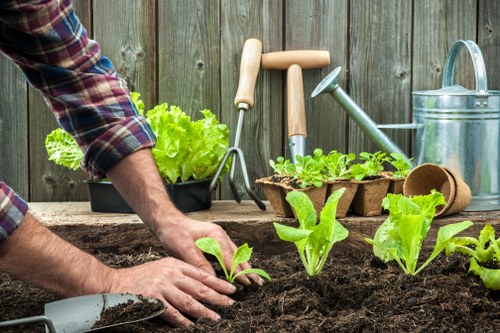 Gardeners carrying out clearance and site preparation in Dalston