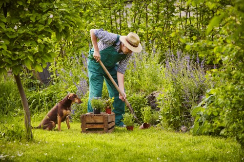 Gardener assisting a customer with mobility-friendly garden design in Dalston