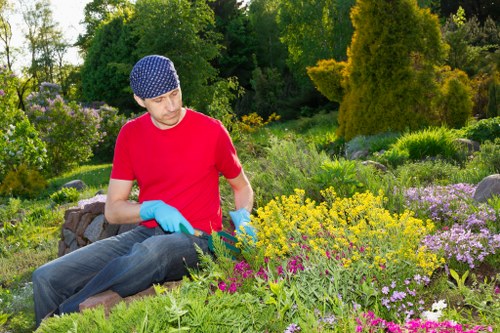 Inspector reviewing garden work