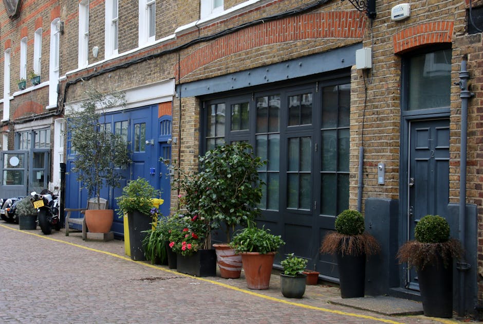 A narrow urban garden scene along a cobblestone street in Dalston, featuring a row of terraced houses with brick facades. The garden area includes a variety of potted plants and shrubs arranged outsid