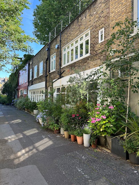 A narrow urban garden scene along a cobblestone street in Dalston, featuring a row of terraced houses with brick facades. The garden area includes a variety of potted plants and shrubs arranged outsid